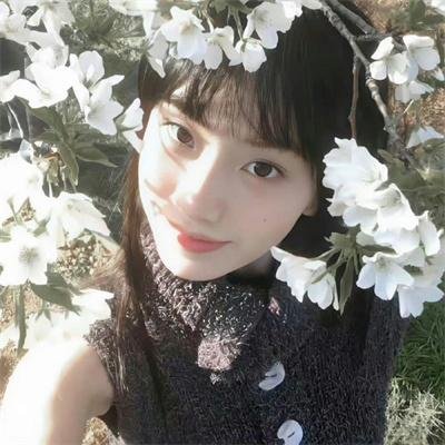 花非花 在线观看